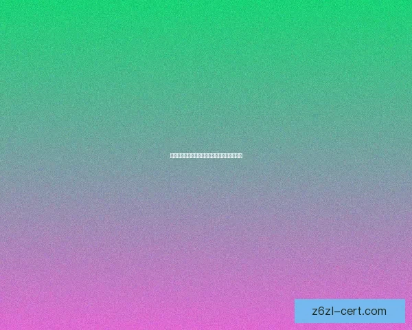 艾萨拉女王便袍背后的传奇象征与精致工艺探秘