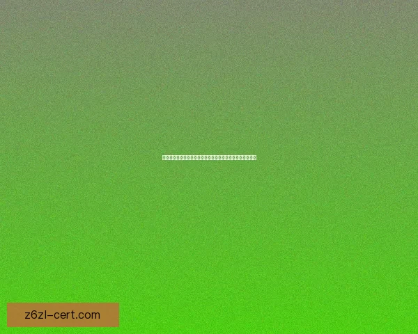 冒险岛恶魔猎手加点攻略全面解析提升伤害与生存的最佳方案