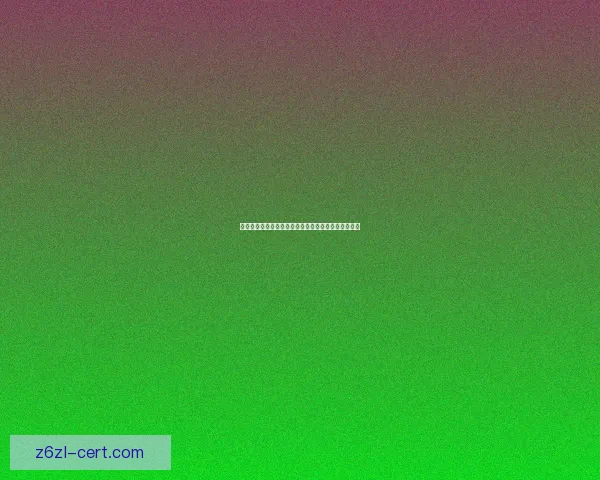 御龙在天铁血加点攻略全面解析助你轻松打造强力角色