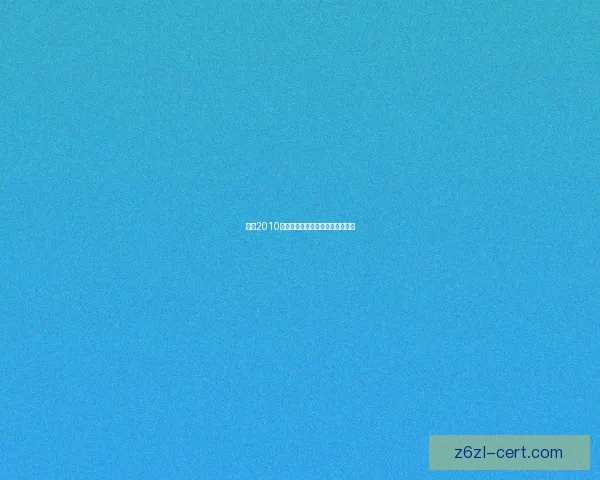 拳皇2010游戏下载指南及安装教程完整分享